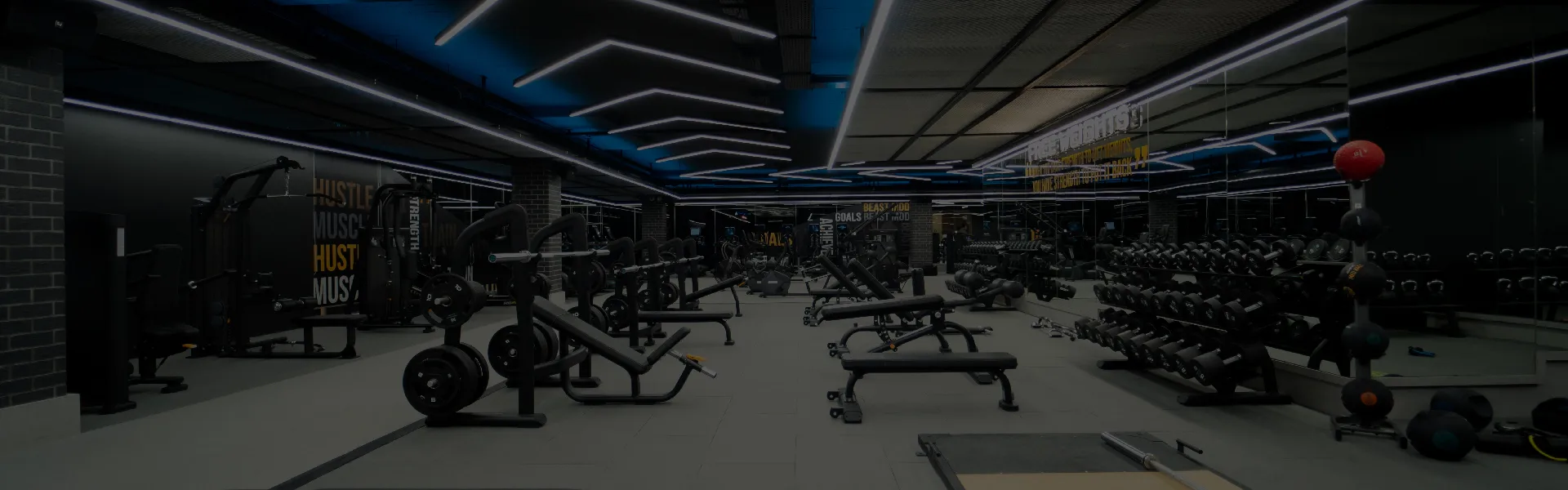 best gym in jp nagar interior