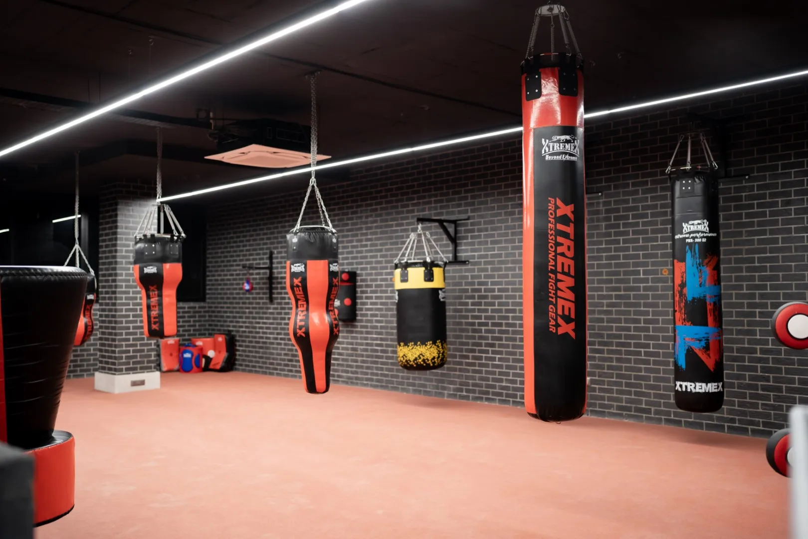 MMA training area with punching bags at a luxury gym in south Bangalore – meridian fitness