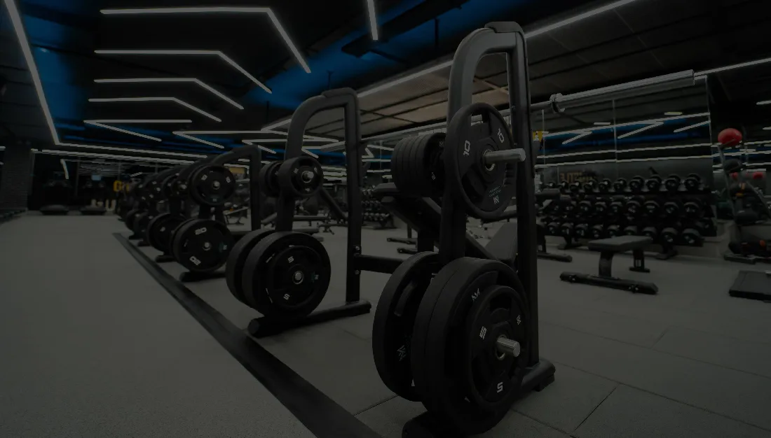 Weights Sections in Meridian Fitness